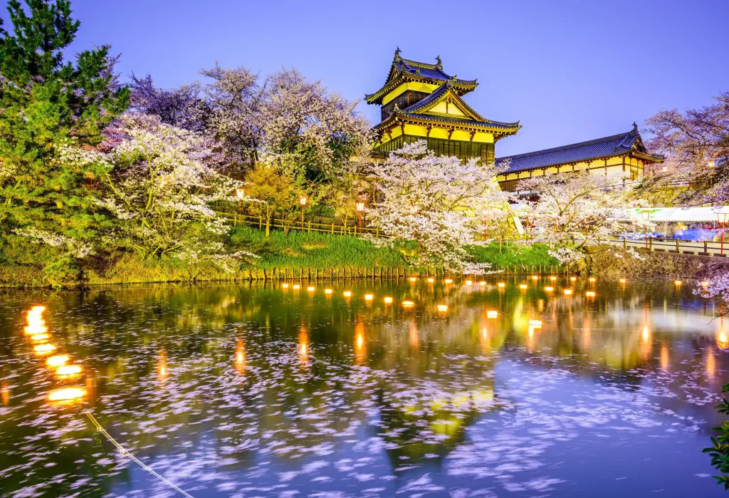 A serene lake in the foreground, framed by cherry trees in full bloom with petals gracefully floating on the water's surface, and the historic Koriyama Castle standing majestically in the background.