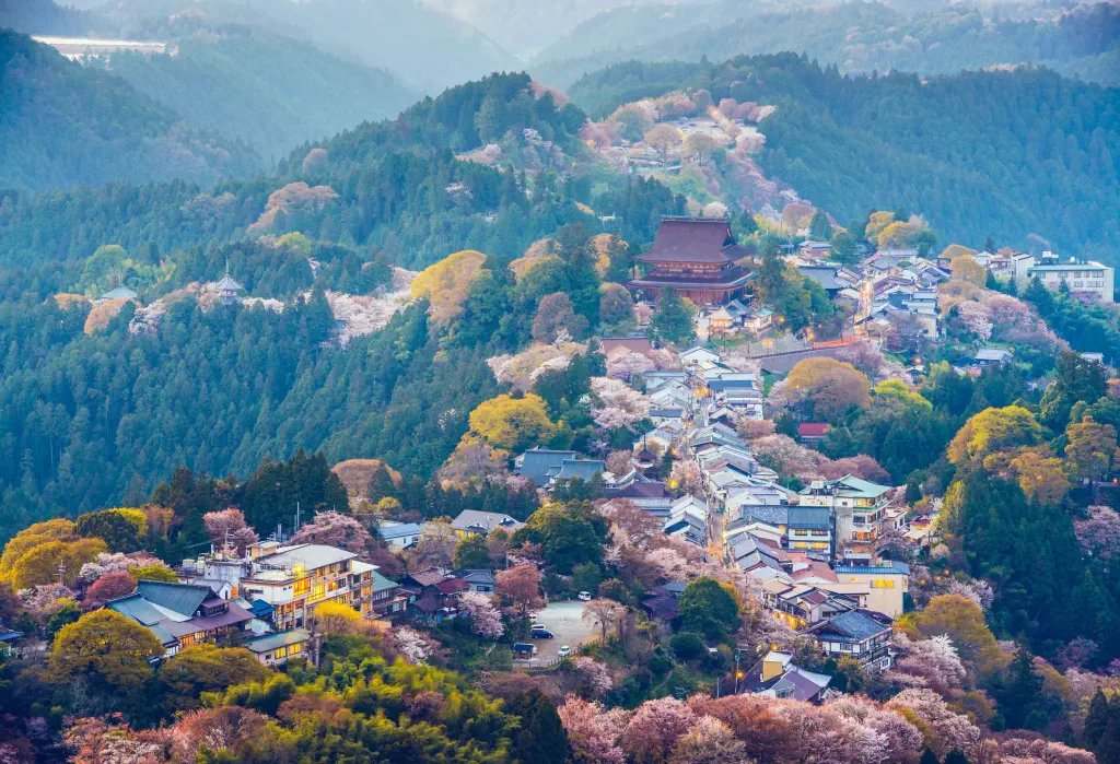 A hilltop village surrounded by a dense forest of cherry blossoms and vibrant fall foliage.