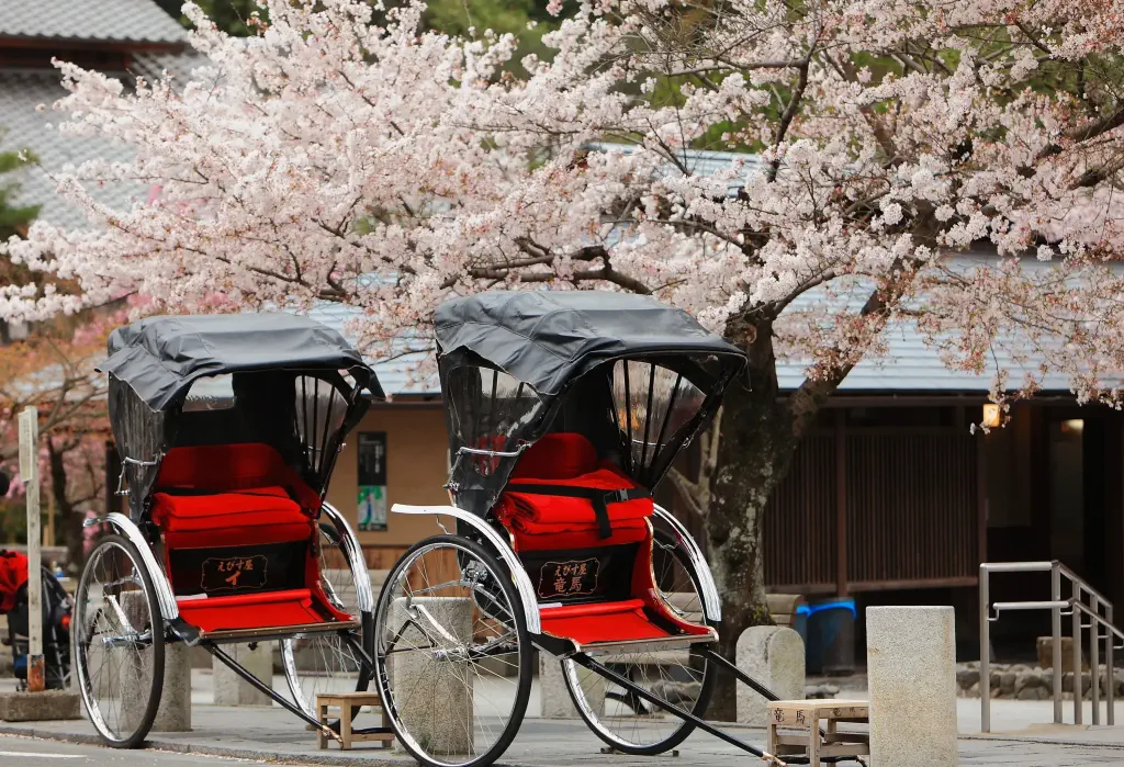 Two two-wheeled hooded vehicle parked on a sidewalk under a beautiful cherry blossom tree.