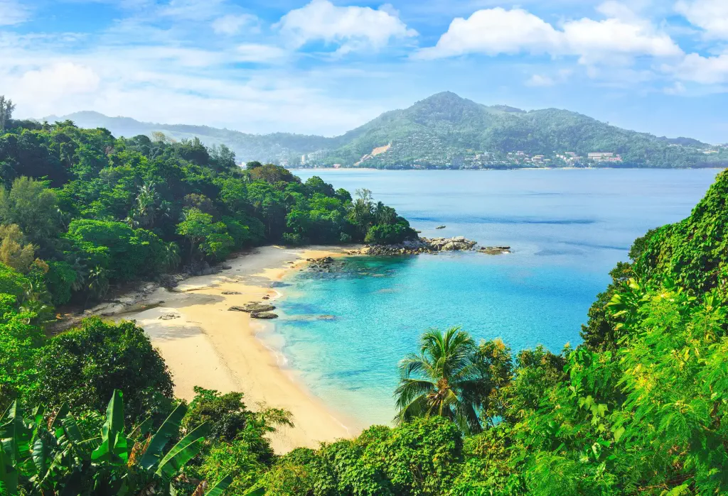 A remote beach along hills covered in lush vegetation with vast bay views.