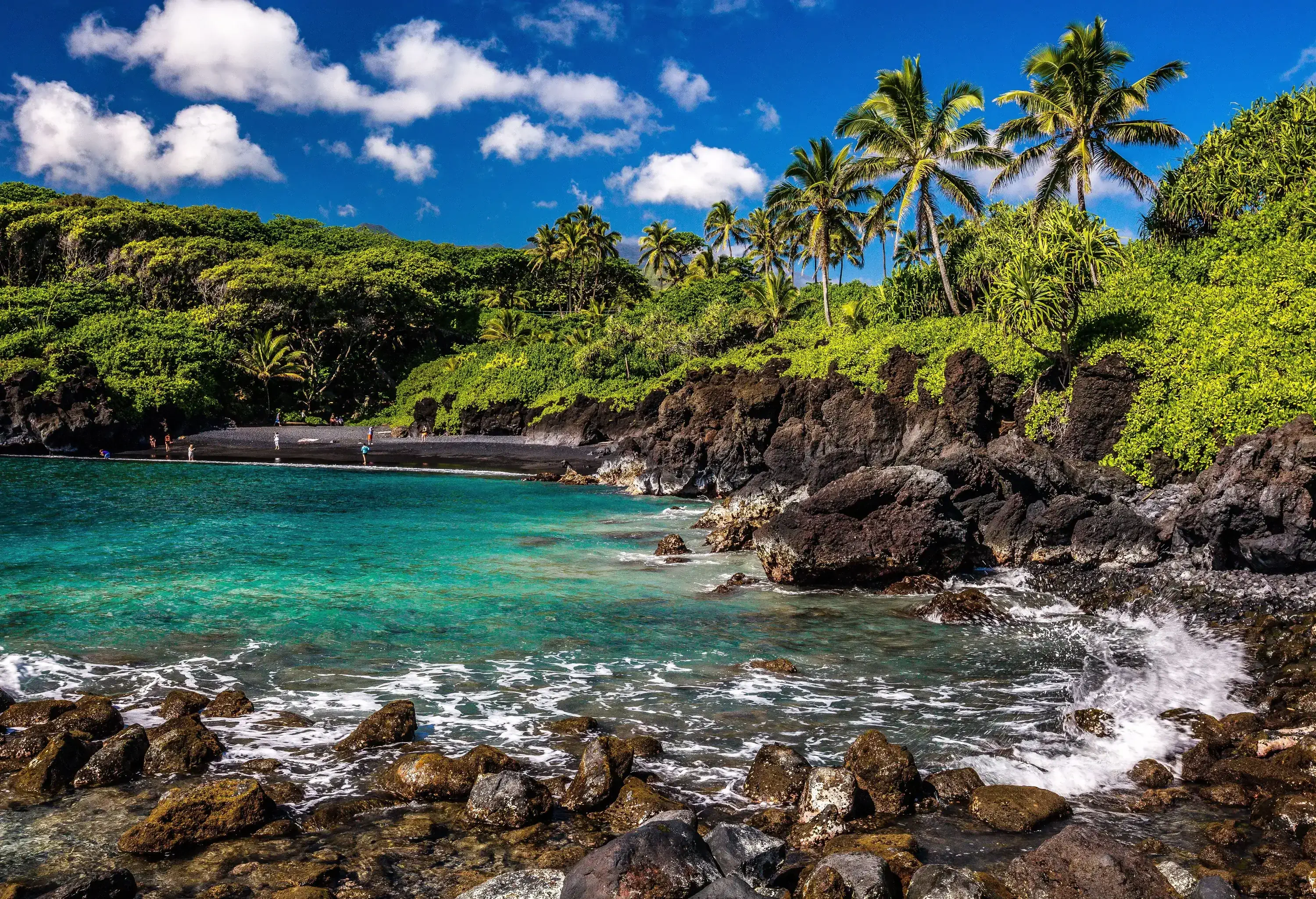A sheltered cove with rocky coastlines along the lush tropical foliage.