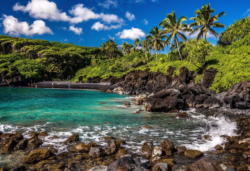 A sheltered cove with rocky coastlines along the lush tropical foliage.