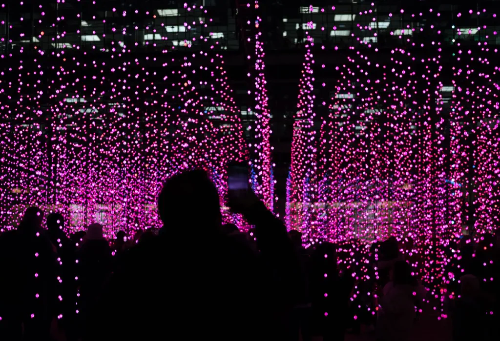 People's silhouettes taking pictures of the hanging purple-lit string lights.