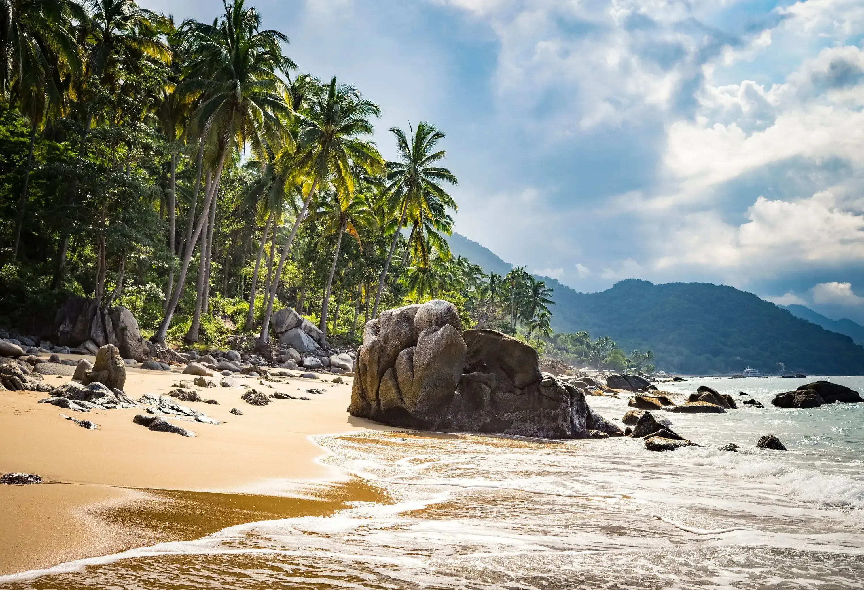 A boulder-strewn beach lined with towering palm trees.