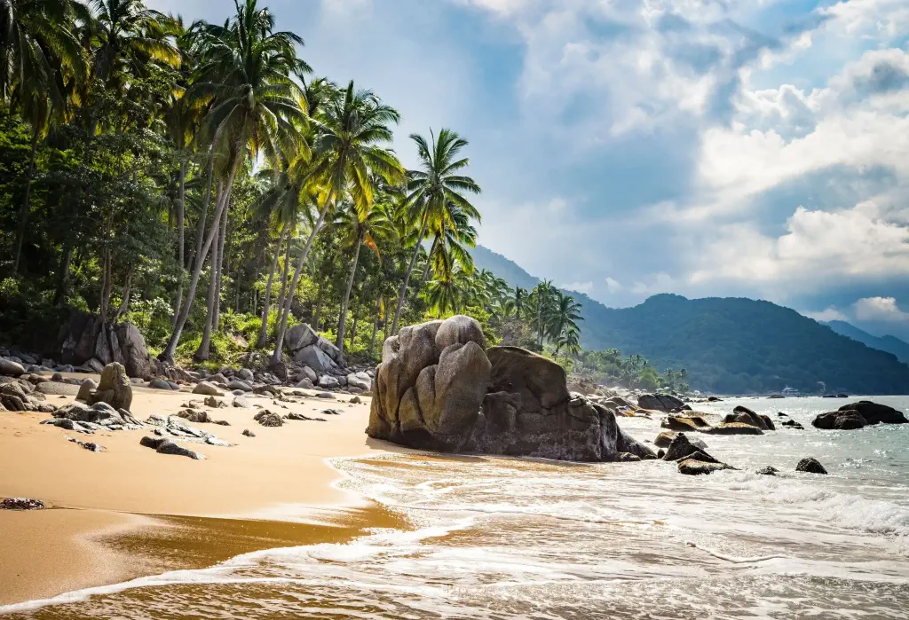 A boulder-strewn beach lined with towering palm trees.