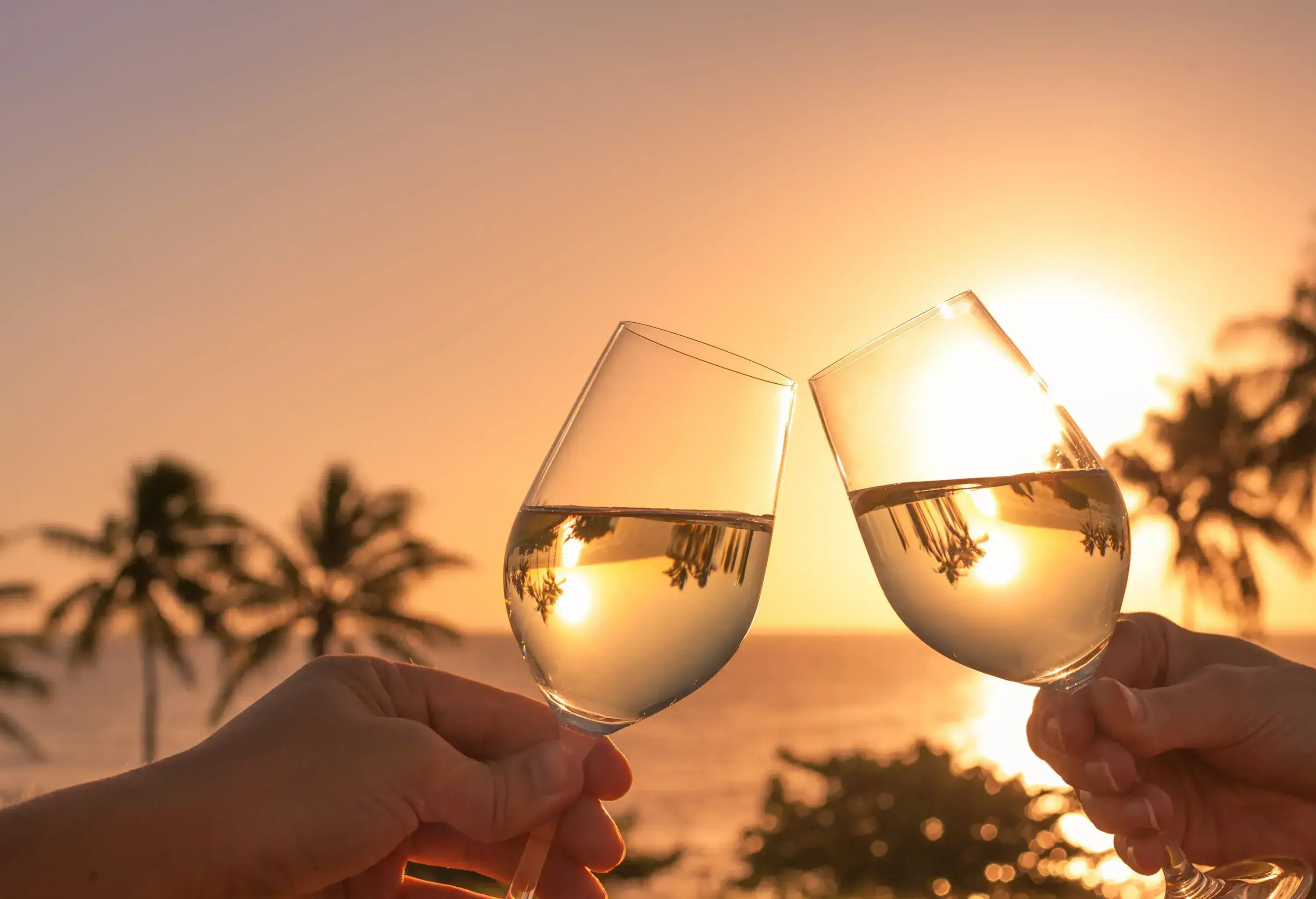 Two people making a toast, with the glasses mirroring the sun and the trees on the beach.
