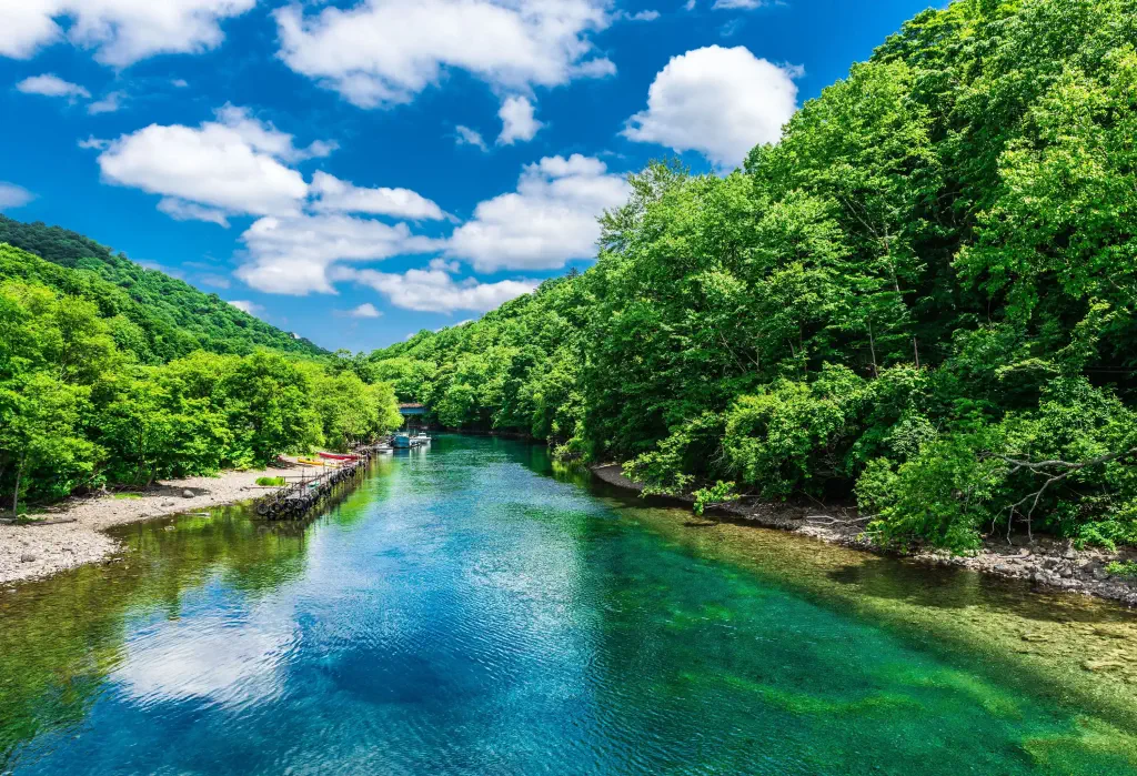 A lake with emerald green waters running through thickly wooded shores.