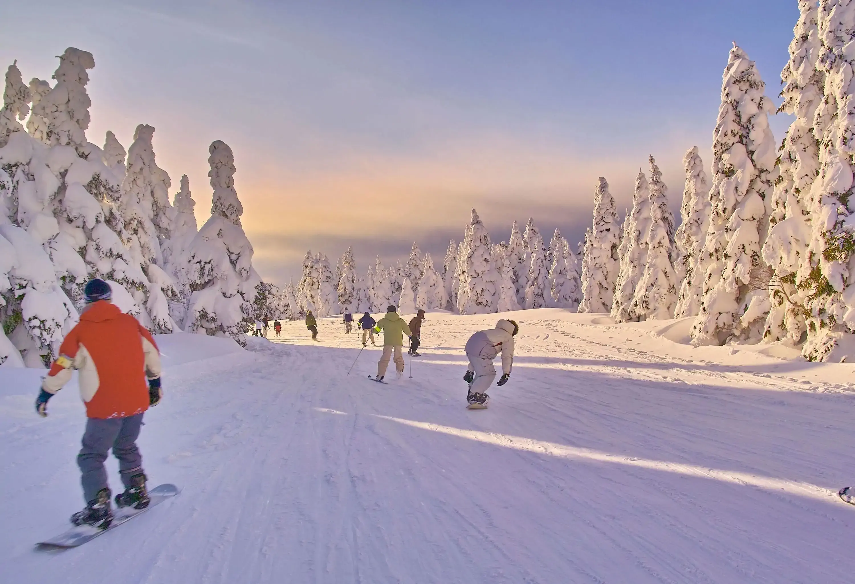 Throngs of people skiing and snowboarding glide down a snow-covered slope, clad in vibrant winter gear, while snow-laden trees lining the path stand as silent sentinels to their exhilarating escapades.