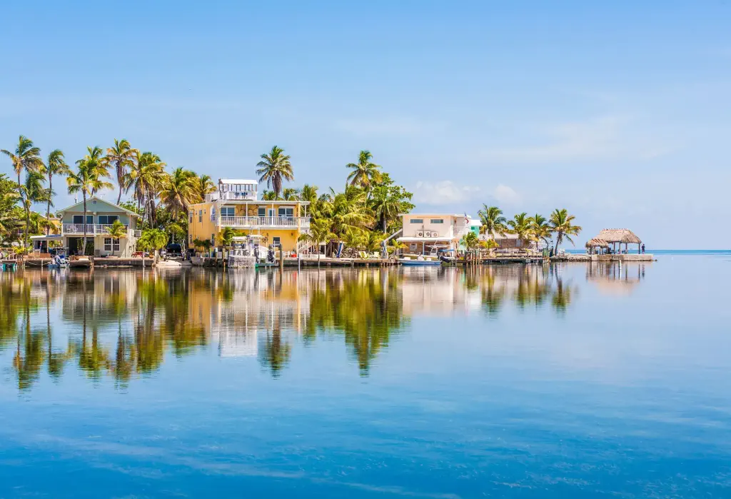 Waterfront houses concealed in the lush palm trees on the shore along the tranquil turquoise sea.
