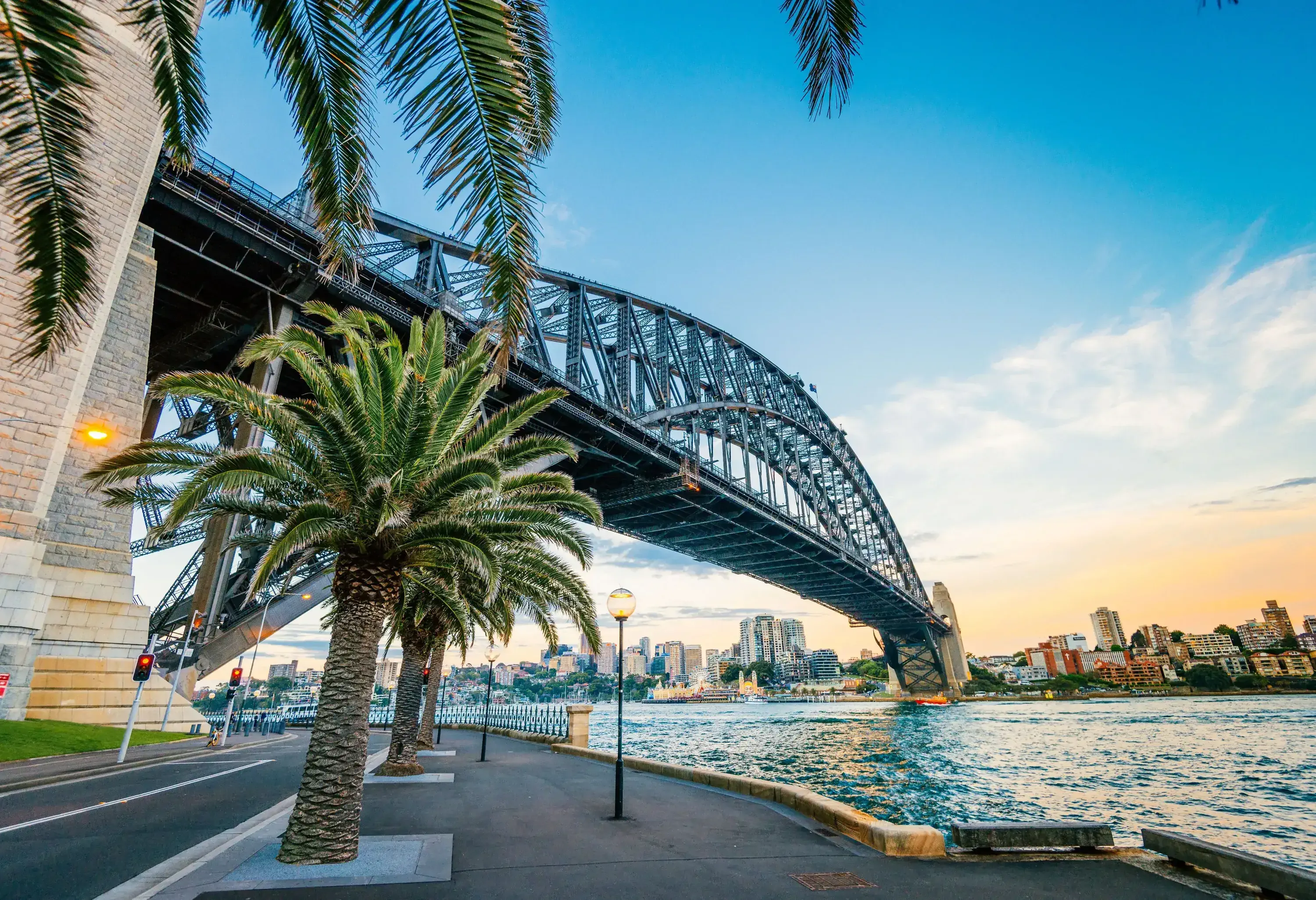 A promenade with tall palm trees overlooking the iconic Sydney Harbor bridge.