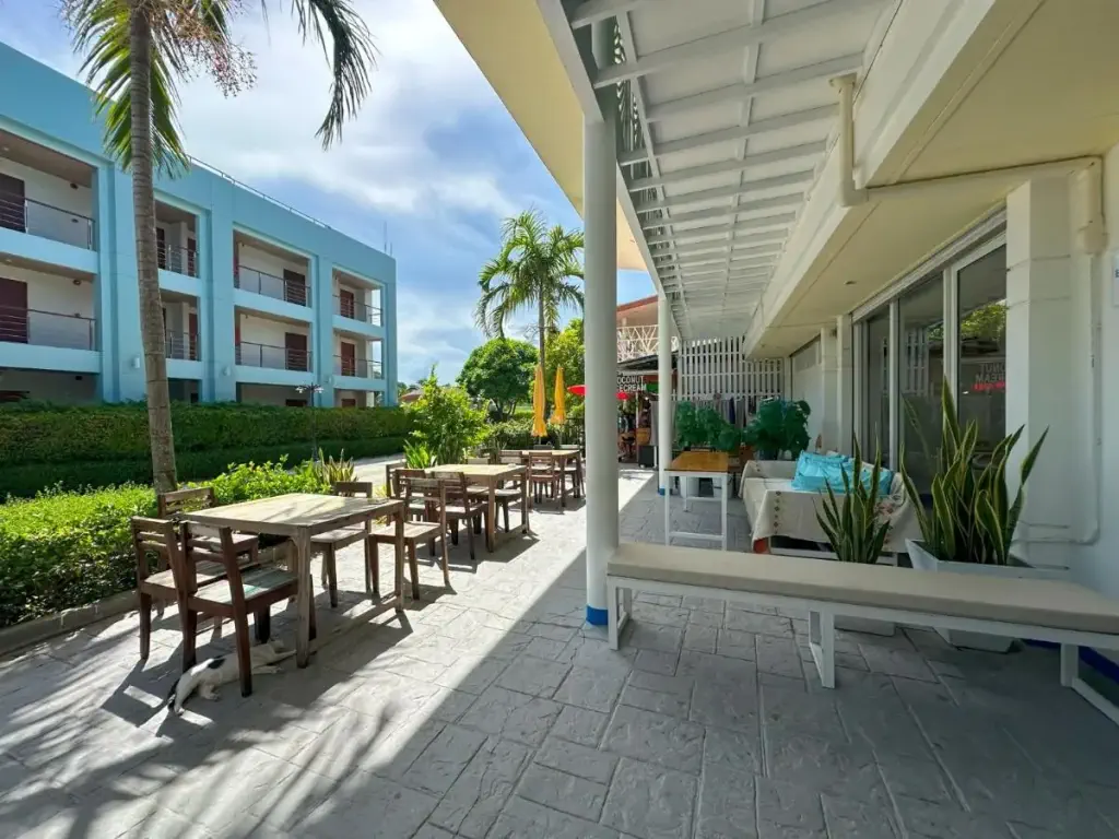 Outdoor seating area with wooden tables and chairs under palm trees on a sunny day. A blue building is in the background, and plants line the pathway.