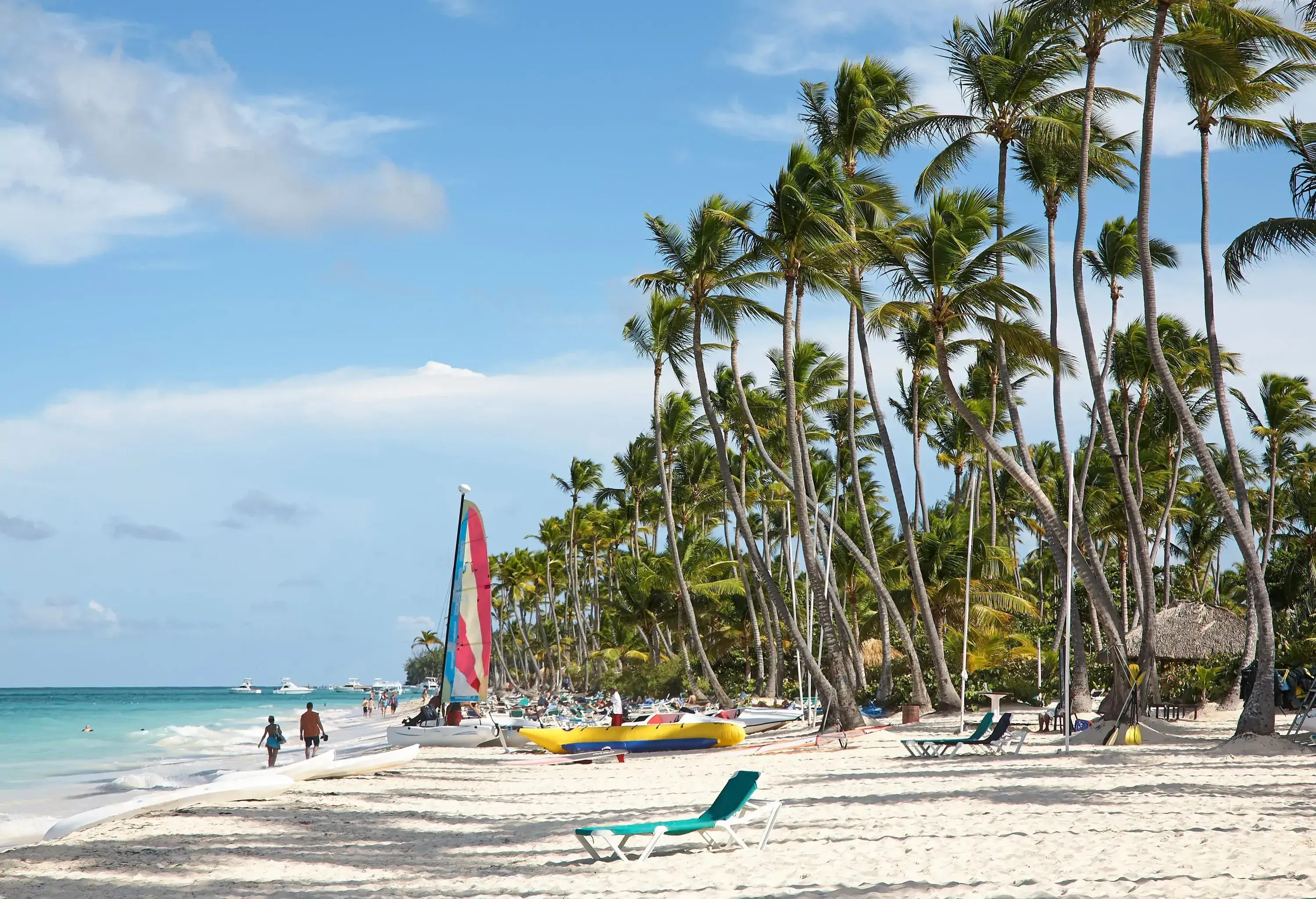 A relaxing turquoise beach tucked along the lush tall palm trees visited by locals and tourists on a sunny day.