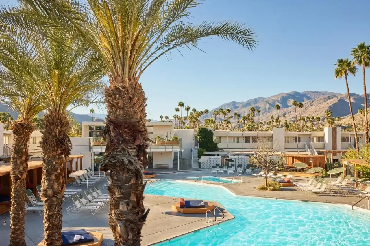 Luxury hotel pool surrounded by palm trees in the desert