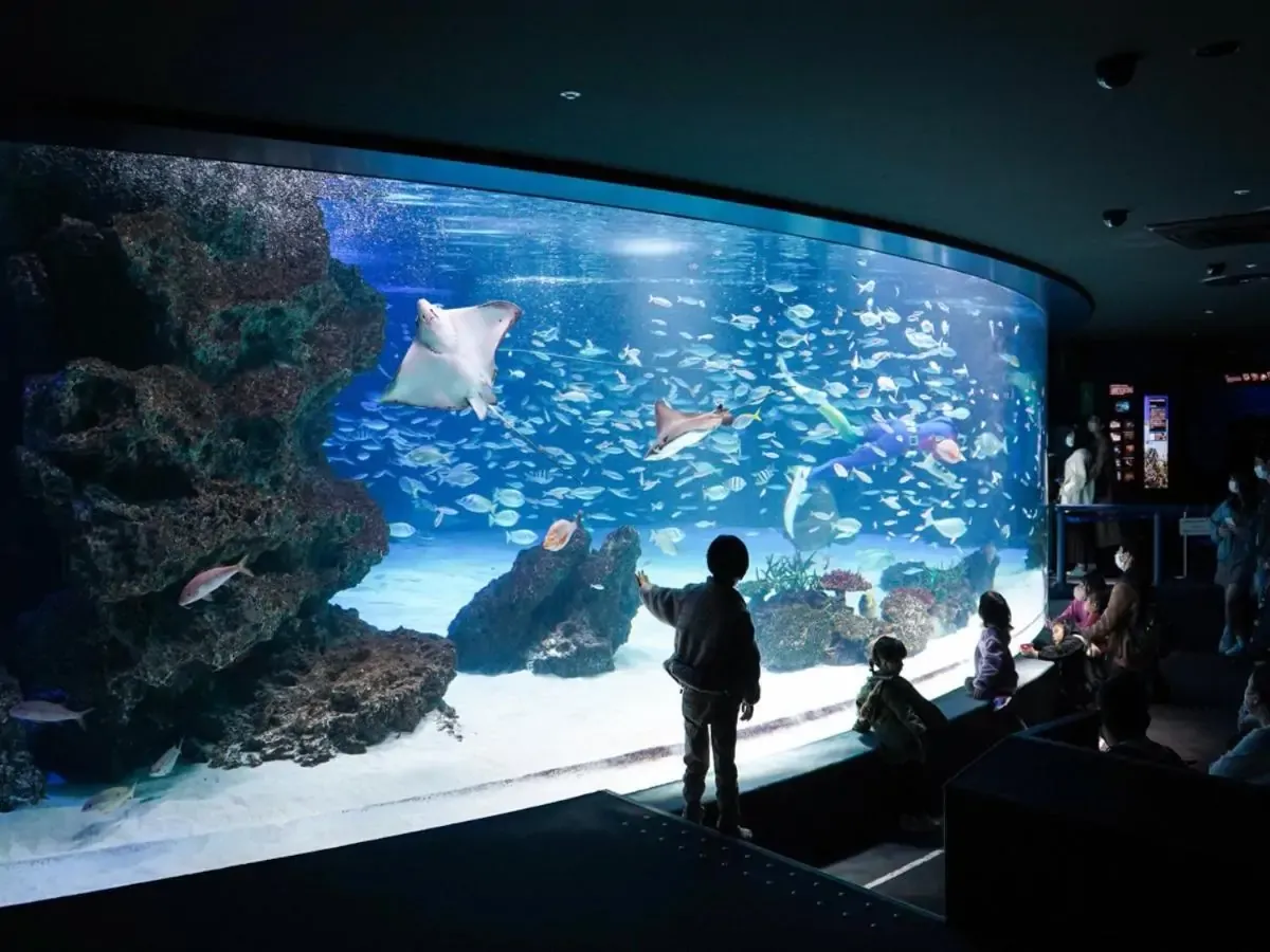 vessel-inn-takadanobaba-station-booking-560378358