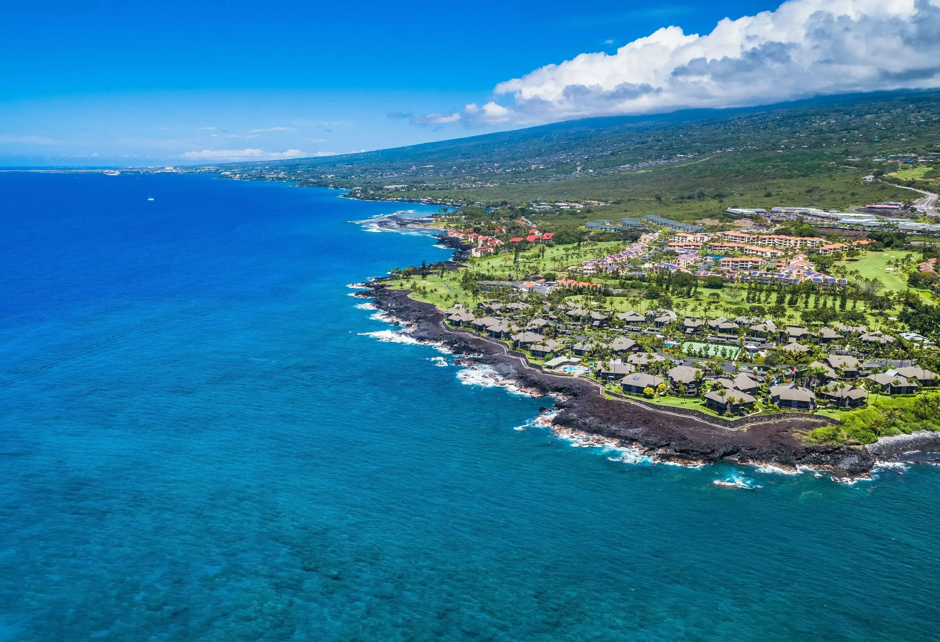 A charming coastal town is nestled amidst a lush green landscape, beautifully dotted with trees, creating a harmonious blend of natural beauty and human settlement in a picturesque coastal setting.