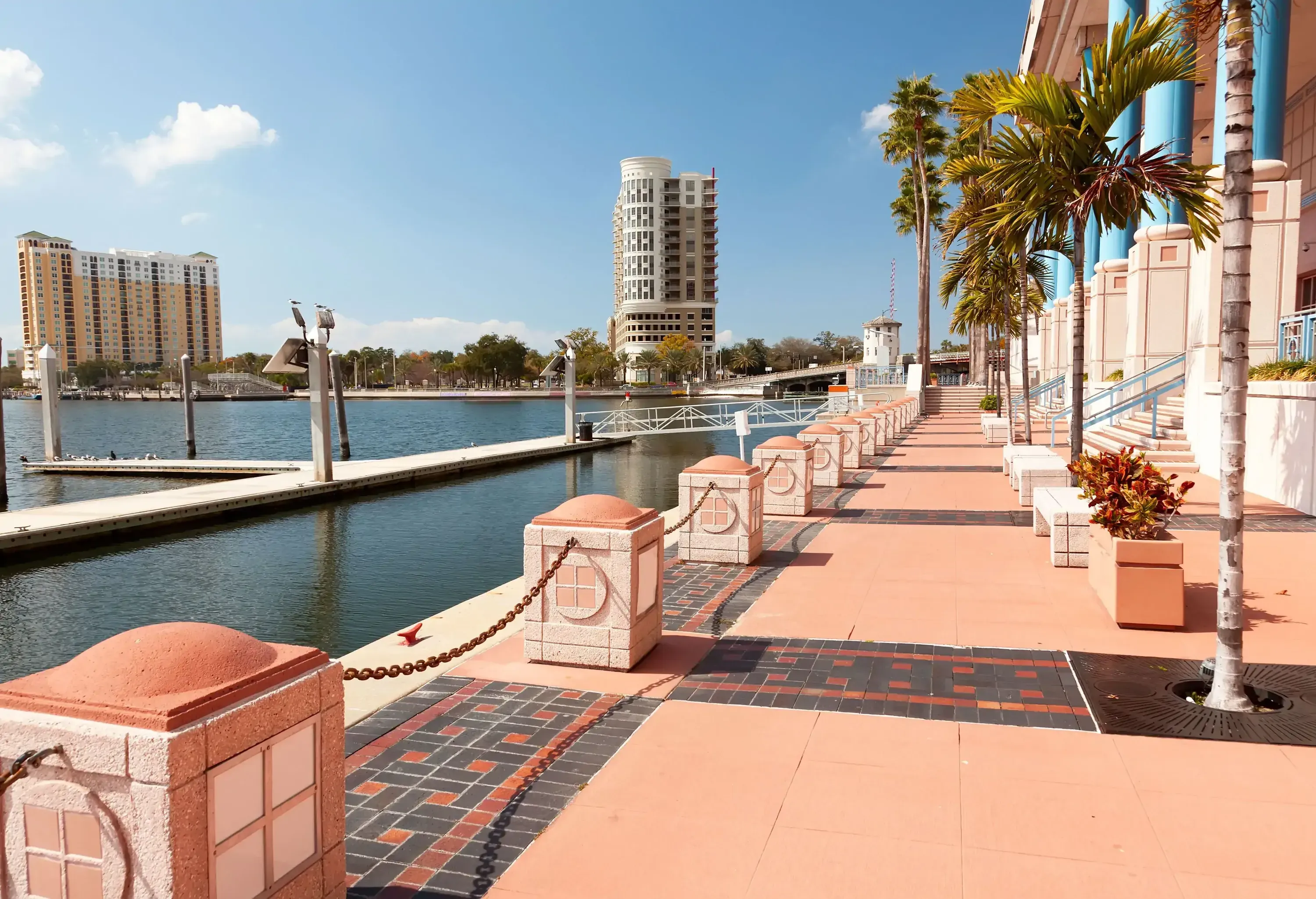 A sunny waterfront promenade with palm trees, a pier, and tall buildings in the background.