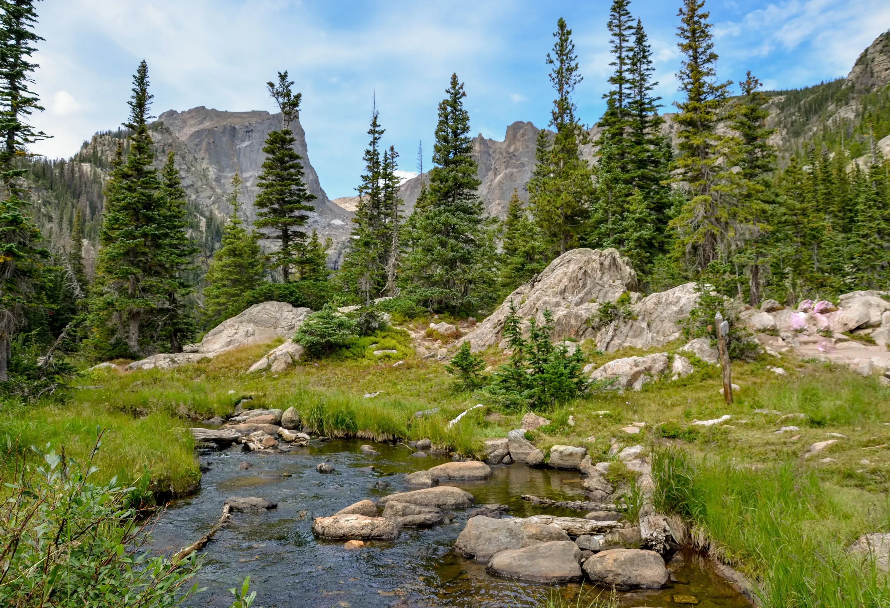 A small rock-strewn creek and tall trees in the valley with rock mountains in the distance.