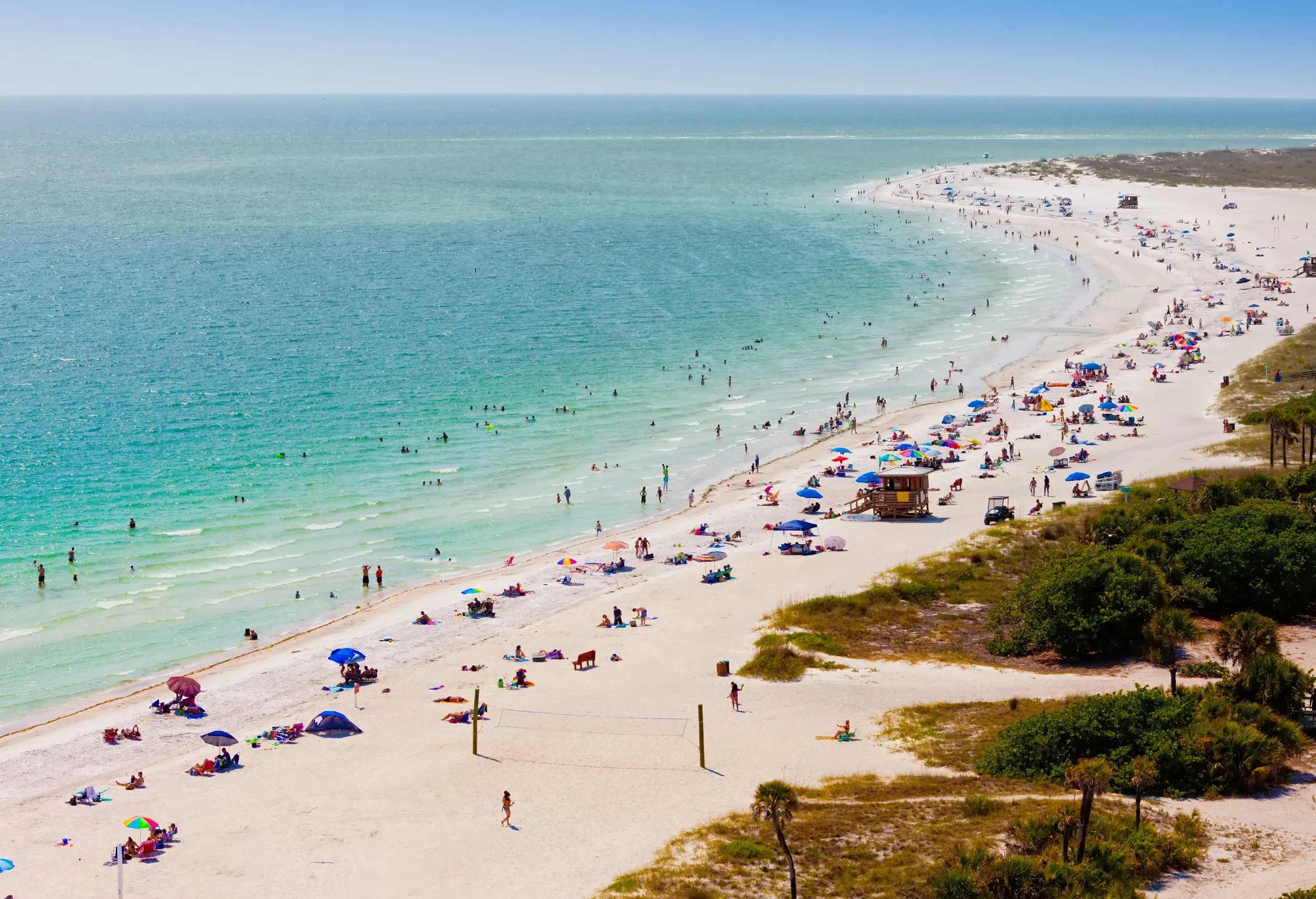 A crowded sunny beach with a line of vegetation bustling with people swimming in the ocean, sunbathing on the sand, and relaxing under colorful umbrellas.