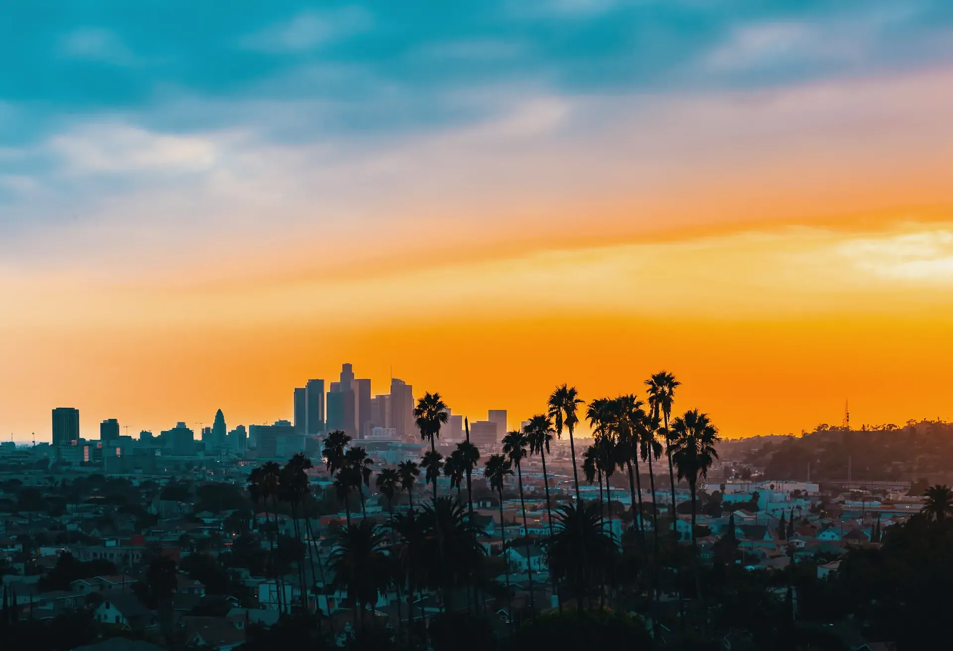 Downtown Los Angeles skyline at sunset with palm trees in the foreground