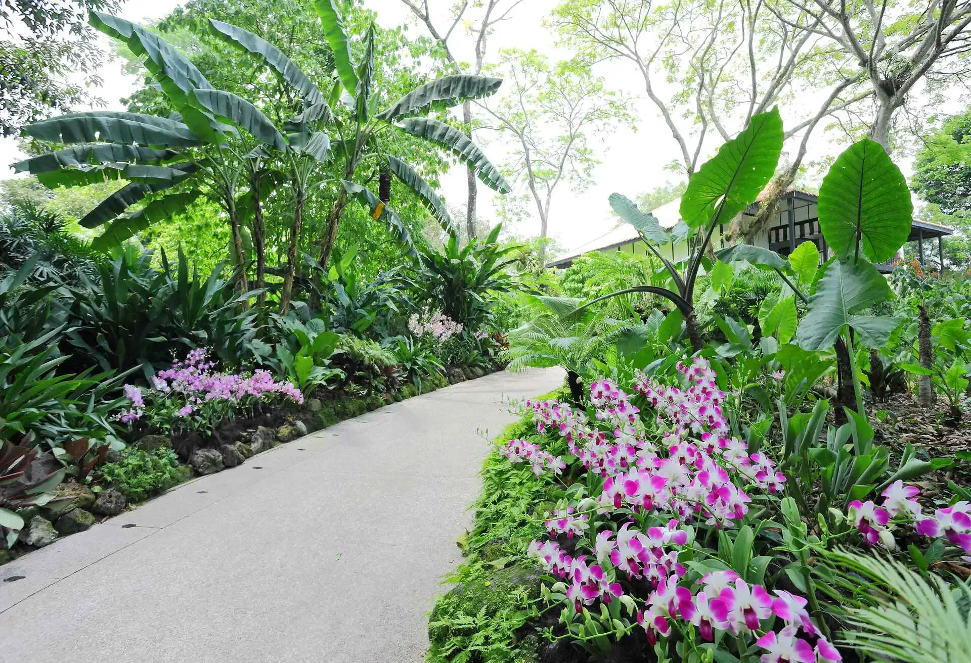 botanic-gardens-new