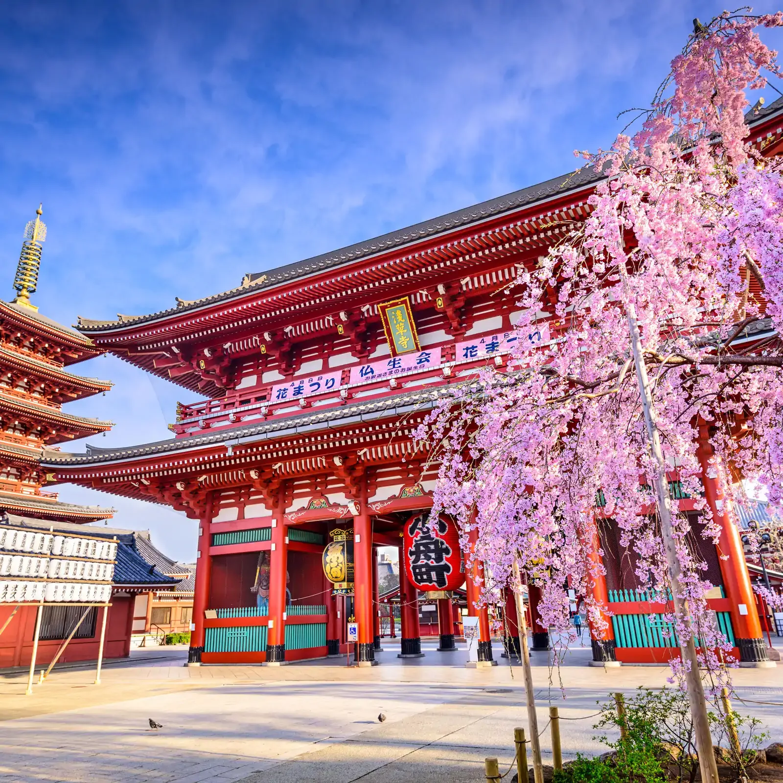 tokyo