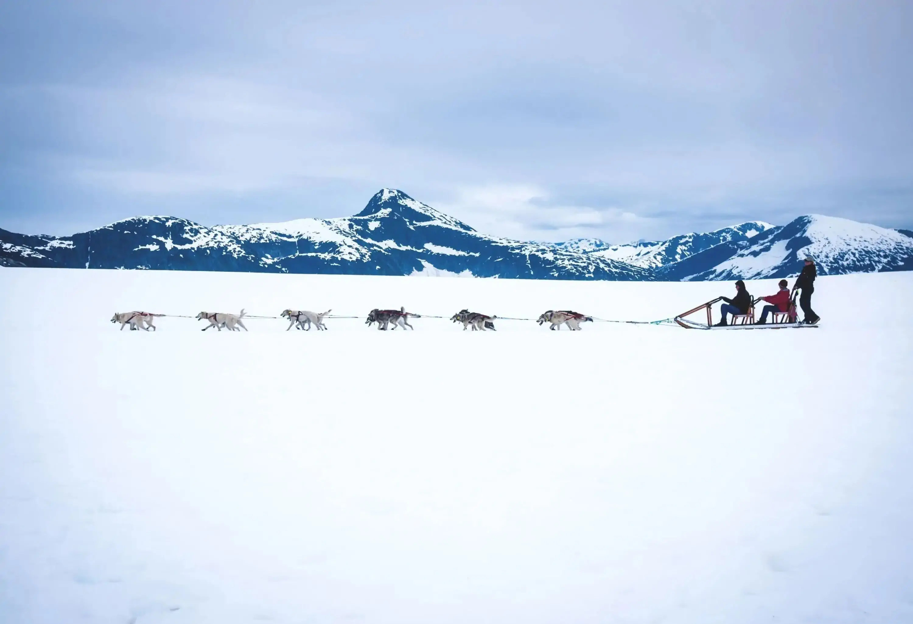 Tourists enjoy a thrilling dog sledge ride along the Glacier, with the snow-covered rocky mountain range providing a breathtaking backdrop, combining adventure and natural beauty in a mesmerizing winter scene.