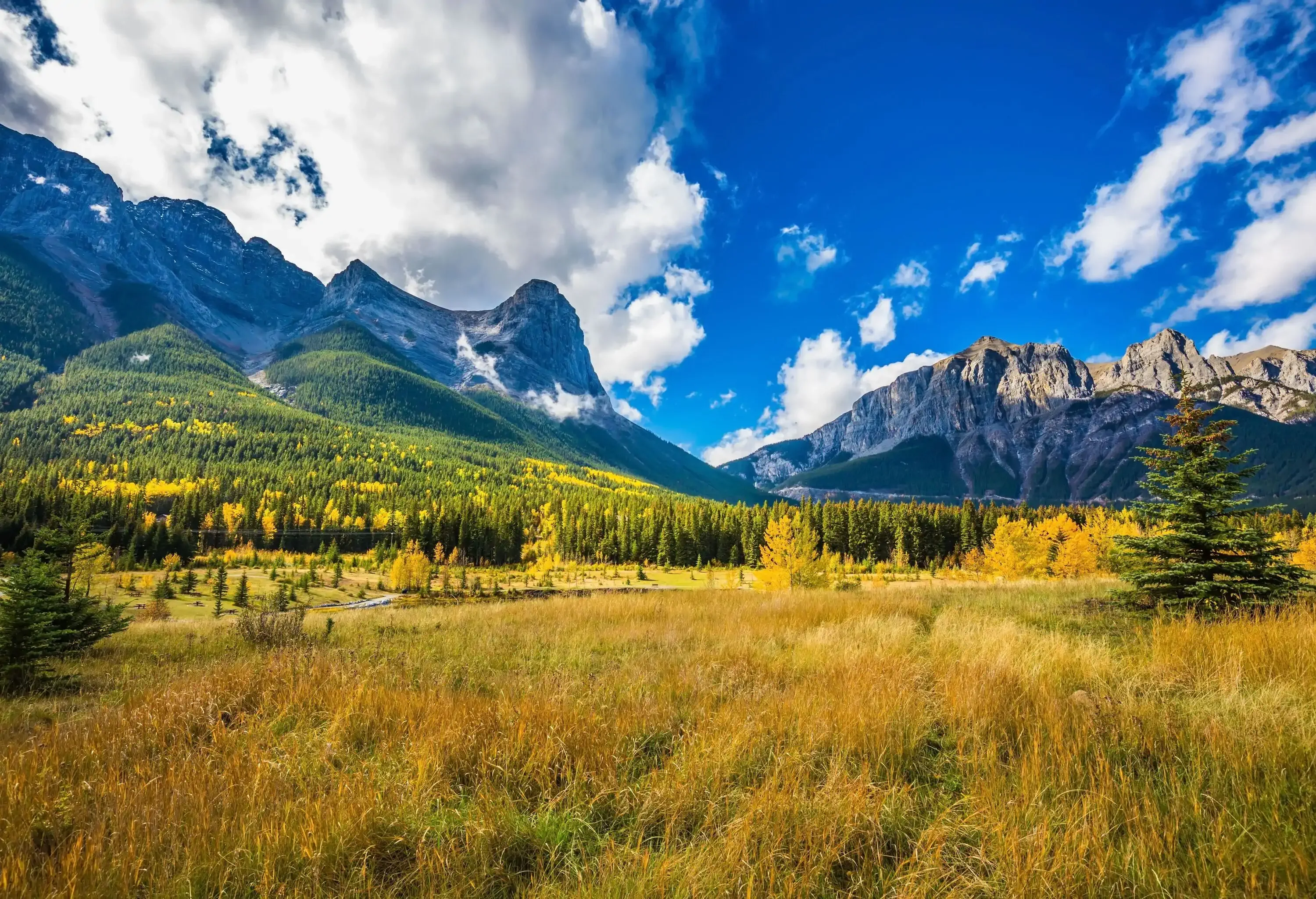 A beautiful forested landscape on the valley of the rocky mountain range under the cloudy blue sky.