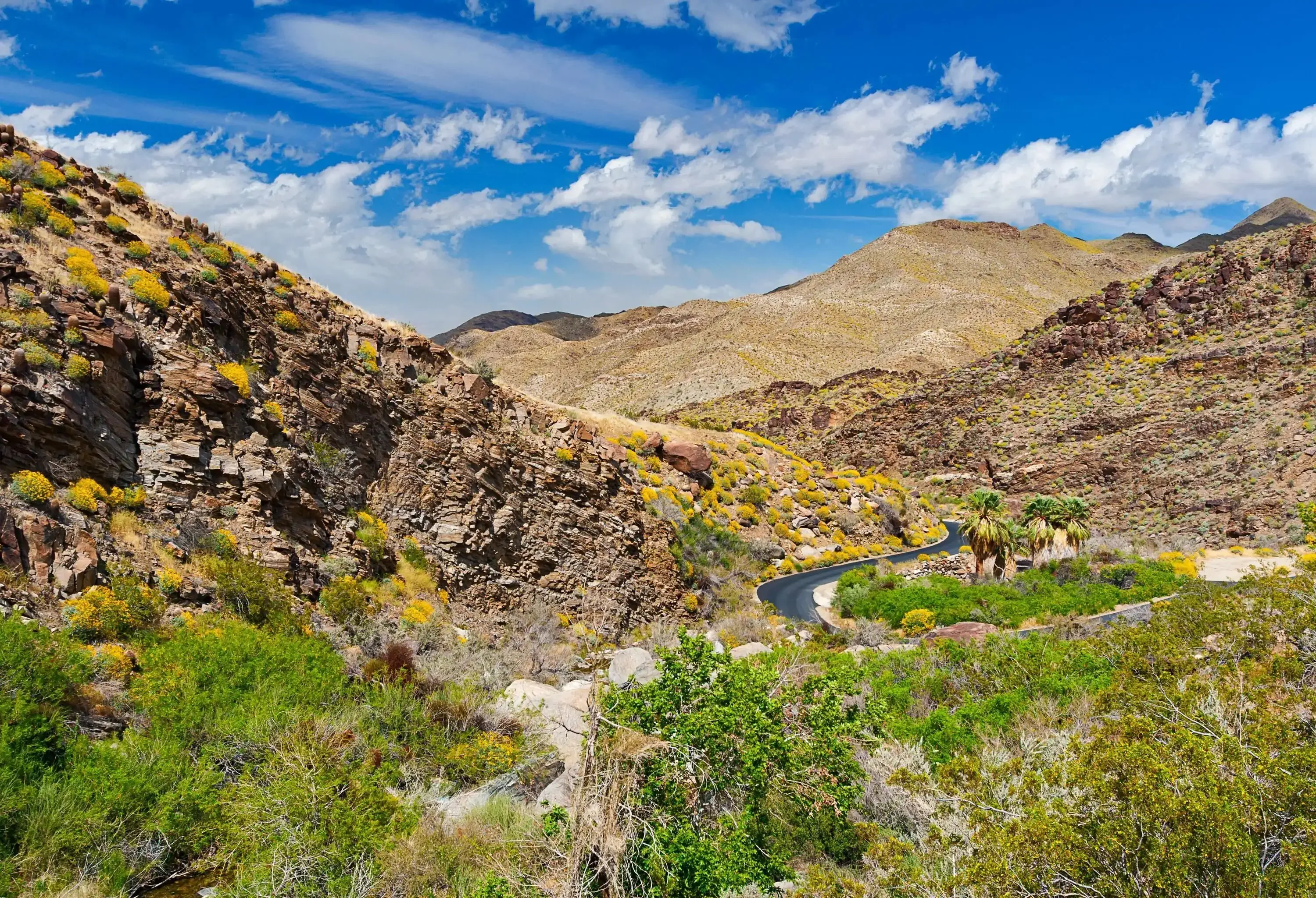 A scenic canyon showcases a meandering natural stream, serenely winding through the heart of rugged mountains, creating a picturesque and enchanting landscape.