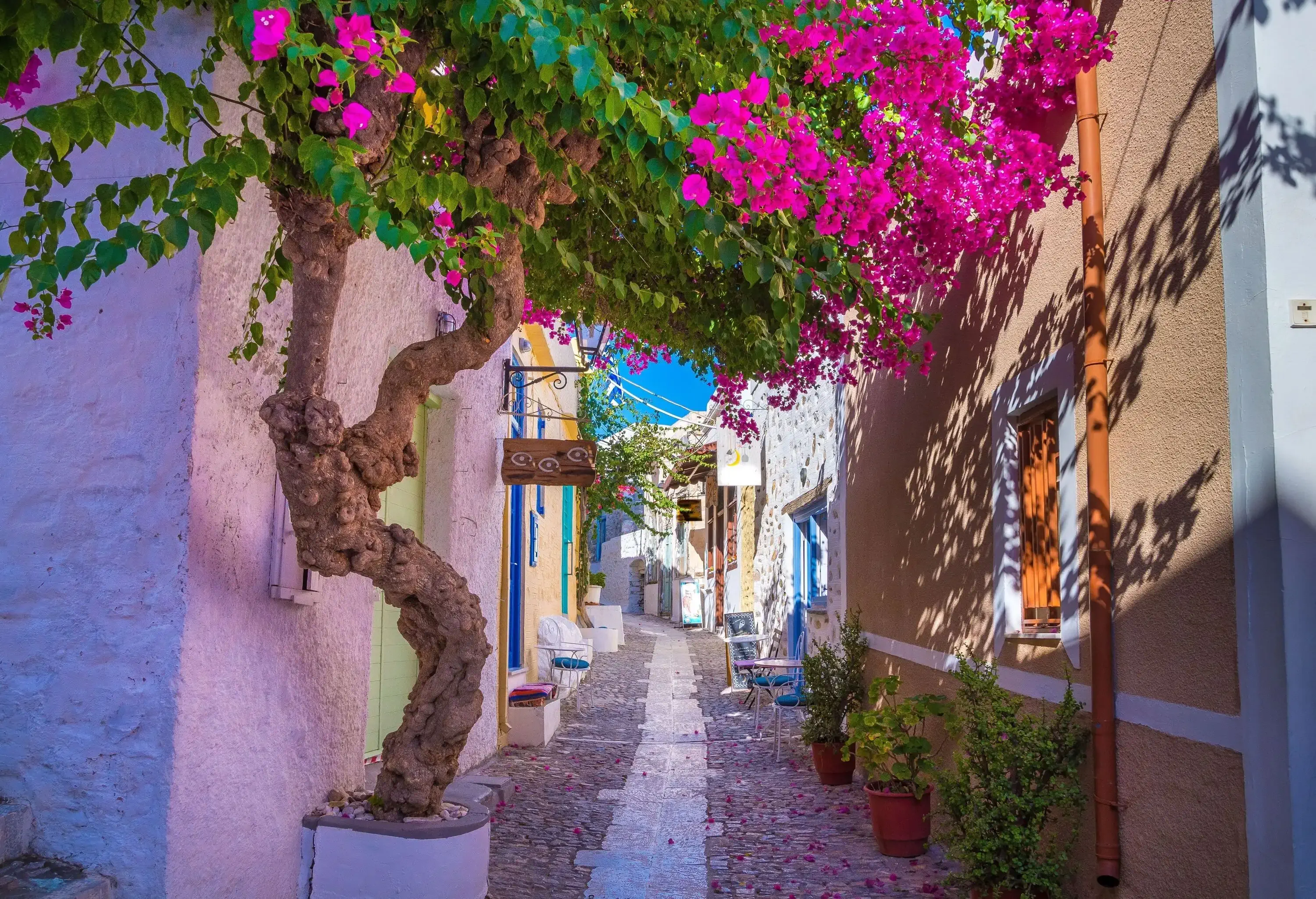 A small lane along stone buildings shaded by flowering trees.