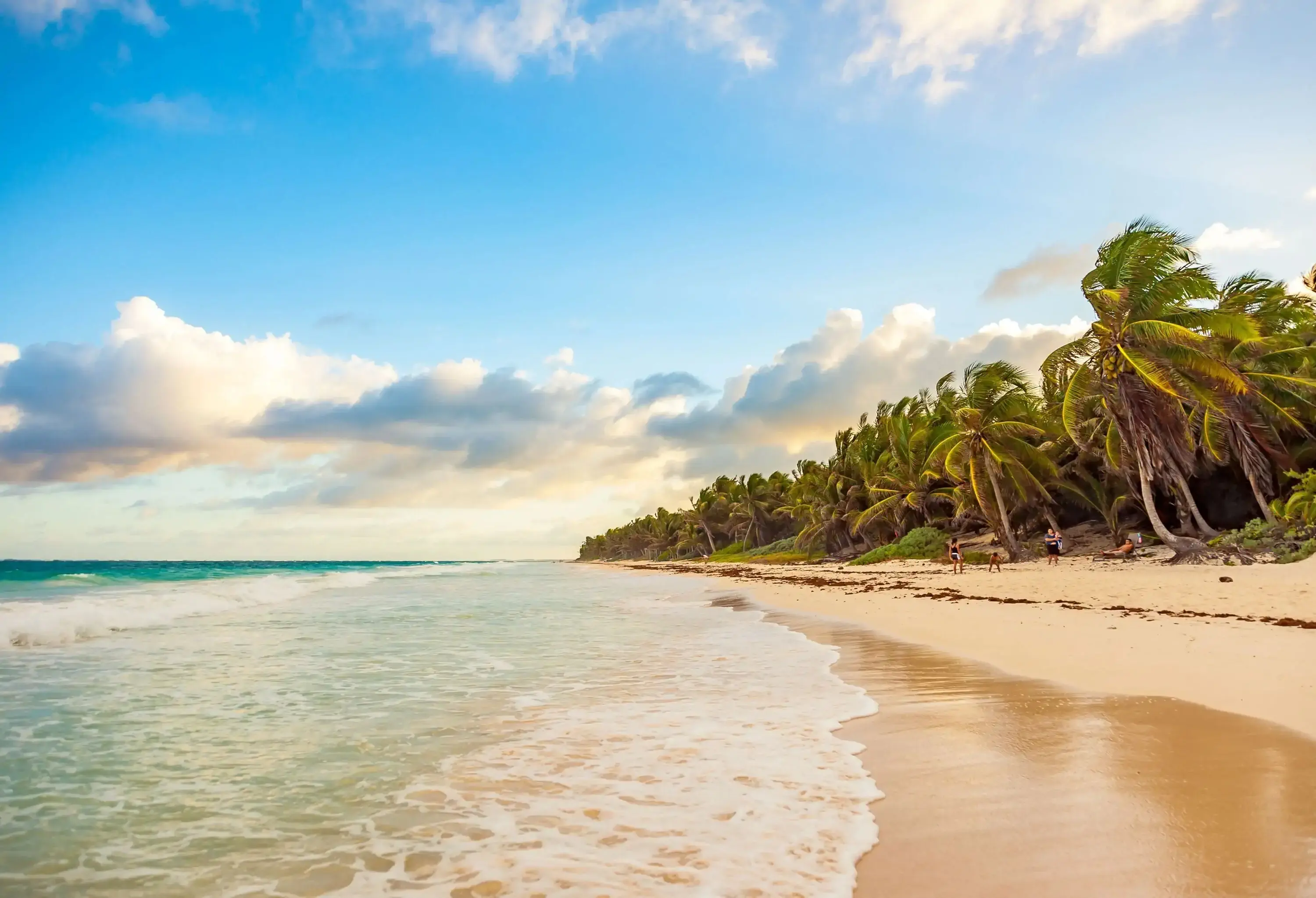 Tall palm trees, sandy shore and the wavy beach against the cloudy blue sky.