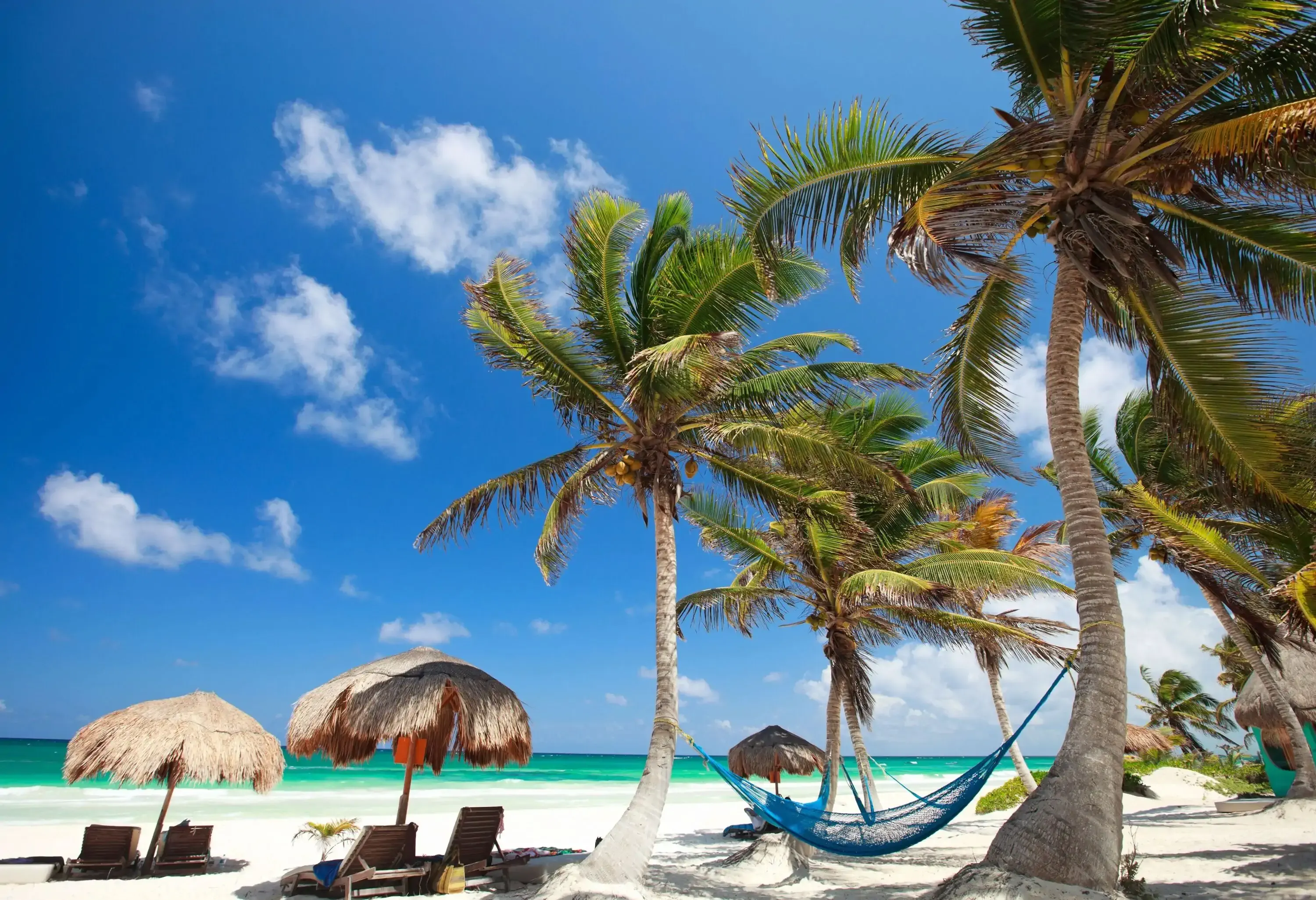 A beach with sunbeds under thatched umbrellas next to a blue hammock tied on palm trees.
