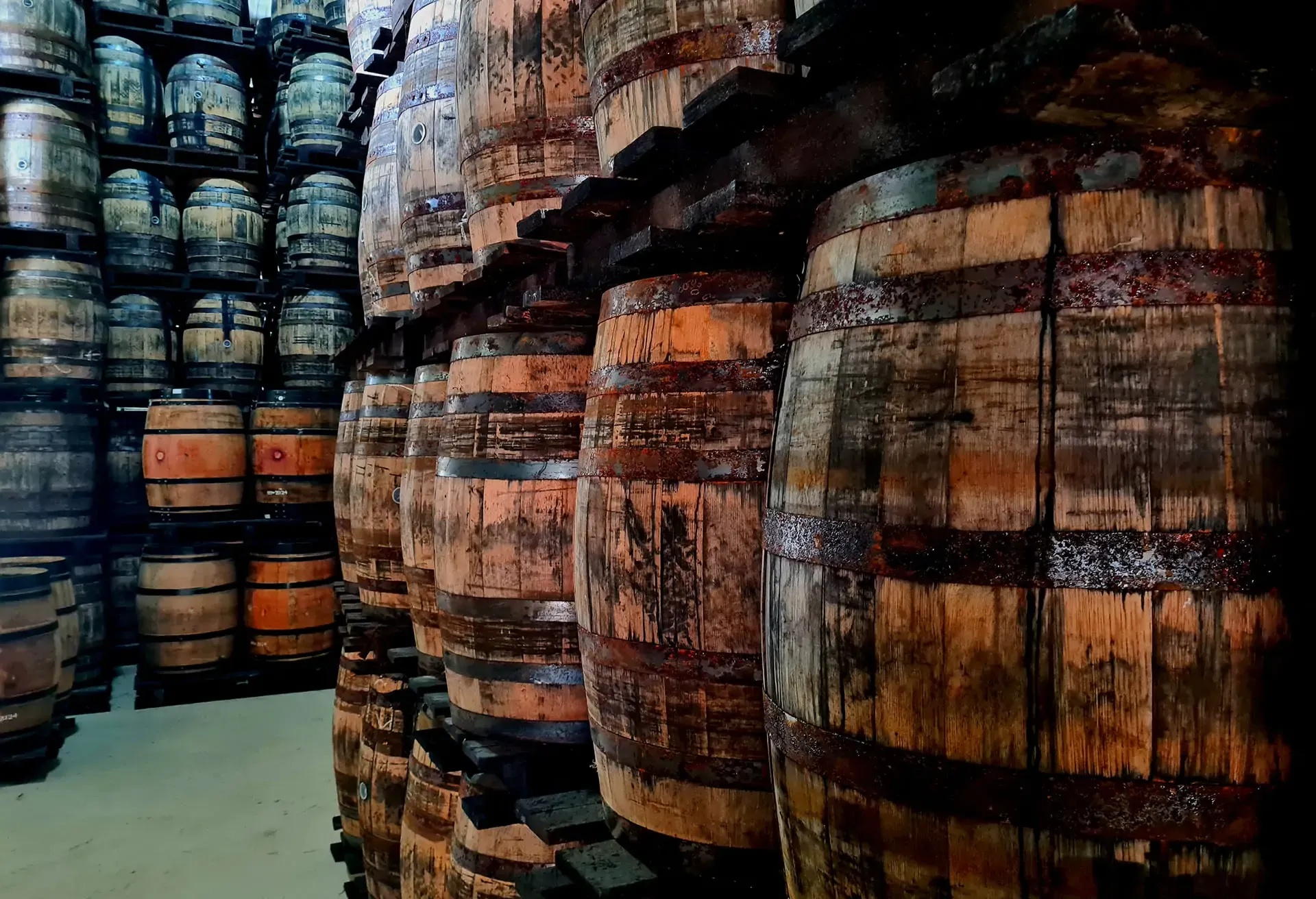Rows of weathered wooden aging barrels stacked in a dimly lit distillery or cellar.