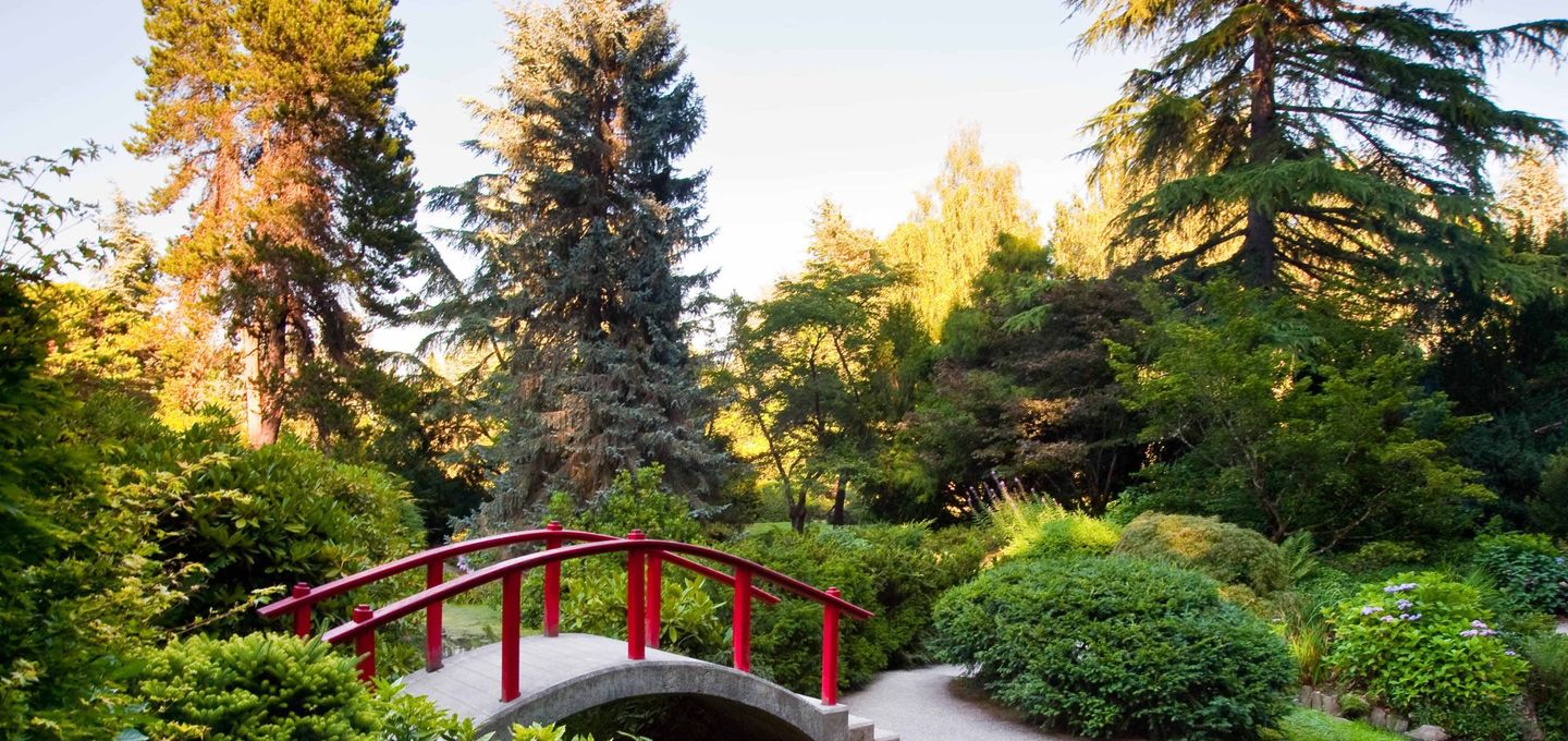 Seattle Travel Guide | Seattle Tourism - KAYAK