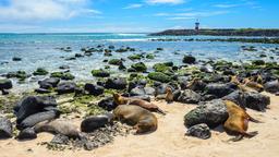 Puerto Baquerizo Moreno vacation rentals