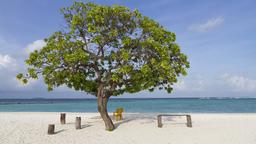 Hotels near Dharavandhoo Airport