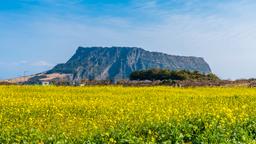Hotels near Jeju City airport
