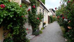 Find cheap flights to Visby
