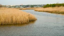 Secaucus hotels