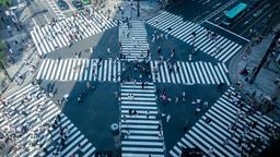 286 Cheap Flights To Tokyo In 21 Kayak 286 Cheap Flights To Tokyo In 21 Kayak