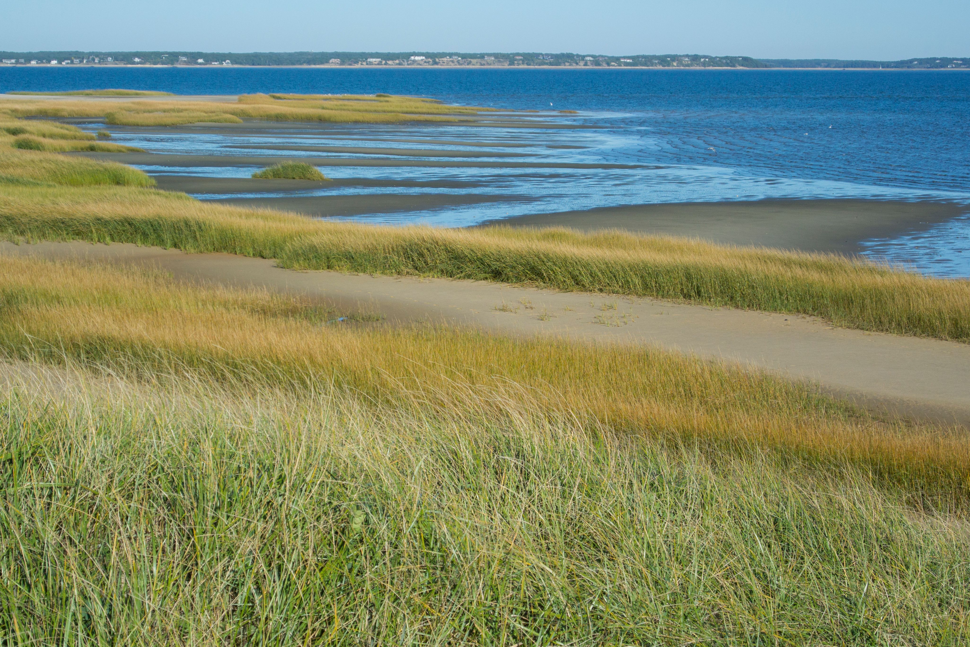 Wellfleet Vacation Rentals from 189/night KAYAK