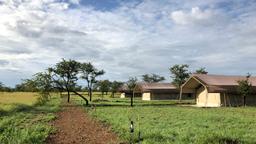 Serengeti hotels