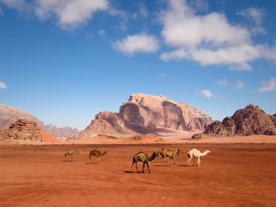 Wadi Rum