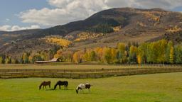 Find cheap flights from Florida to Vail