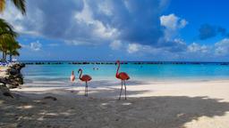 Find cheap flights from Rhode Island to Oranjestad