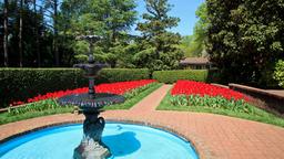 Concord vacation rentals