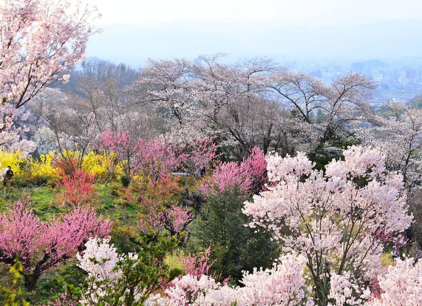 Outdoors view Photo