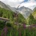 Long & Short Stay Hotel Bahnhof Ausserberg in Ausserberg with alpine valley and wildflowers