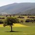 Agriturismo Il Casale Degli Amici in Norcia with lone tree, green fields and mountain valley views