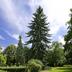 Outdoors view