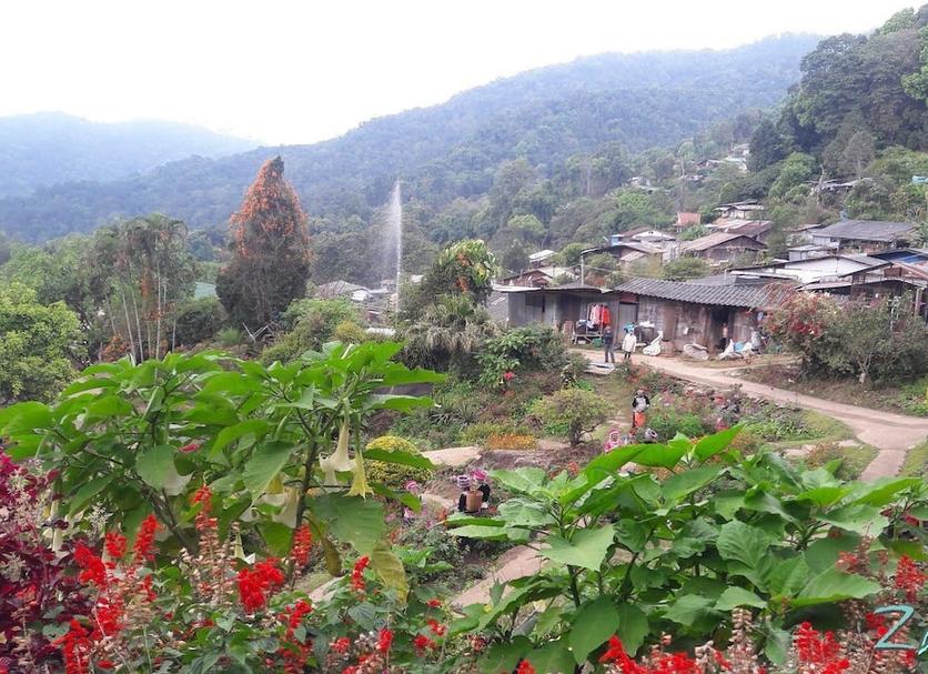 Outdoors view Photo